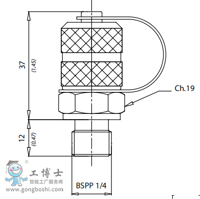 QQ؈D206